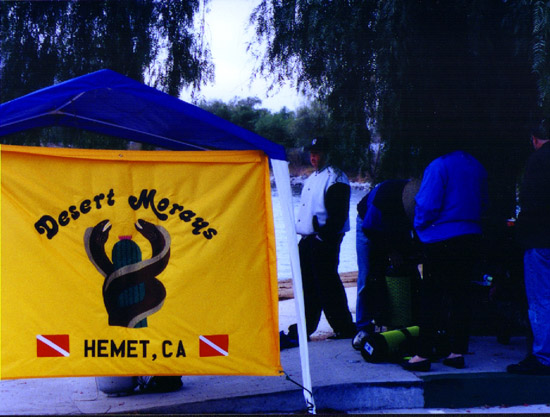 dmdc flag1