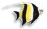 fish.gif (2313 bytes)