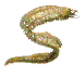 TSM2.gif (1885 bytes)