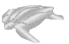 Oogly2tr.gif (5985 bytes)