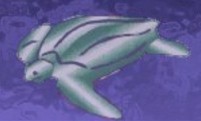 turtlestr.jpg (6662 bytes)