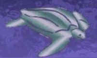 turtlest.jpg (6474 bytes)
